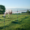 Stalpisori metalici cu 2 sau 3 picioare NEXON pentru gard electric-NEXON FARM